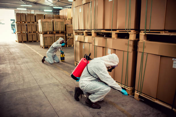 Best Wasp Removal Services  in Perry, FL