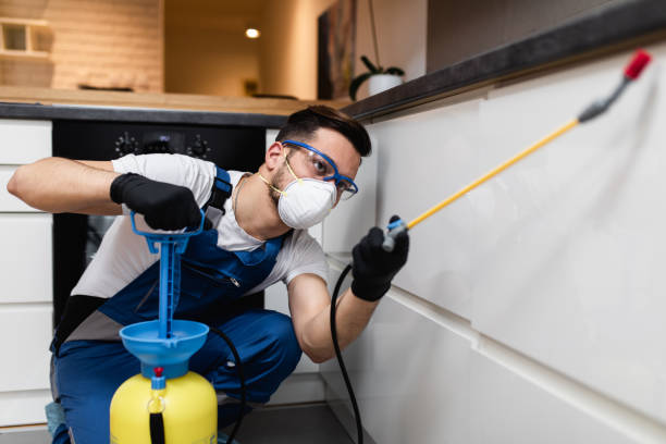 Best Emergency Pest Control  in Perry, FL