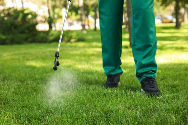 Best Local Pest Control Services  in Perry, FL