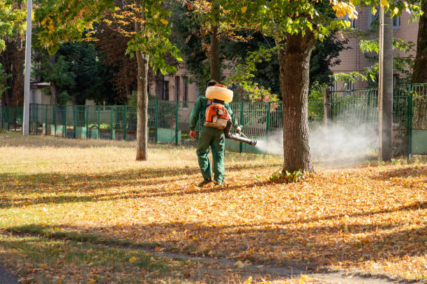 Best Termite Control Services  in Perry, FL
