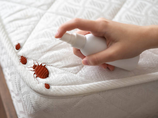 Best Pest Prevention Services  in Perry, FL
