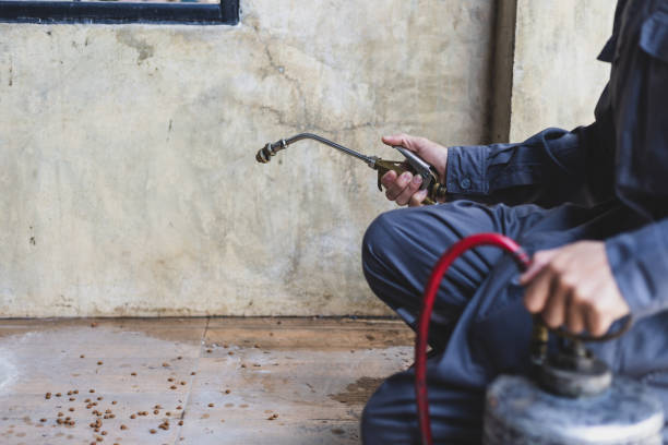 Best Rat Extermination Near Me  in Perry, FL